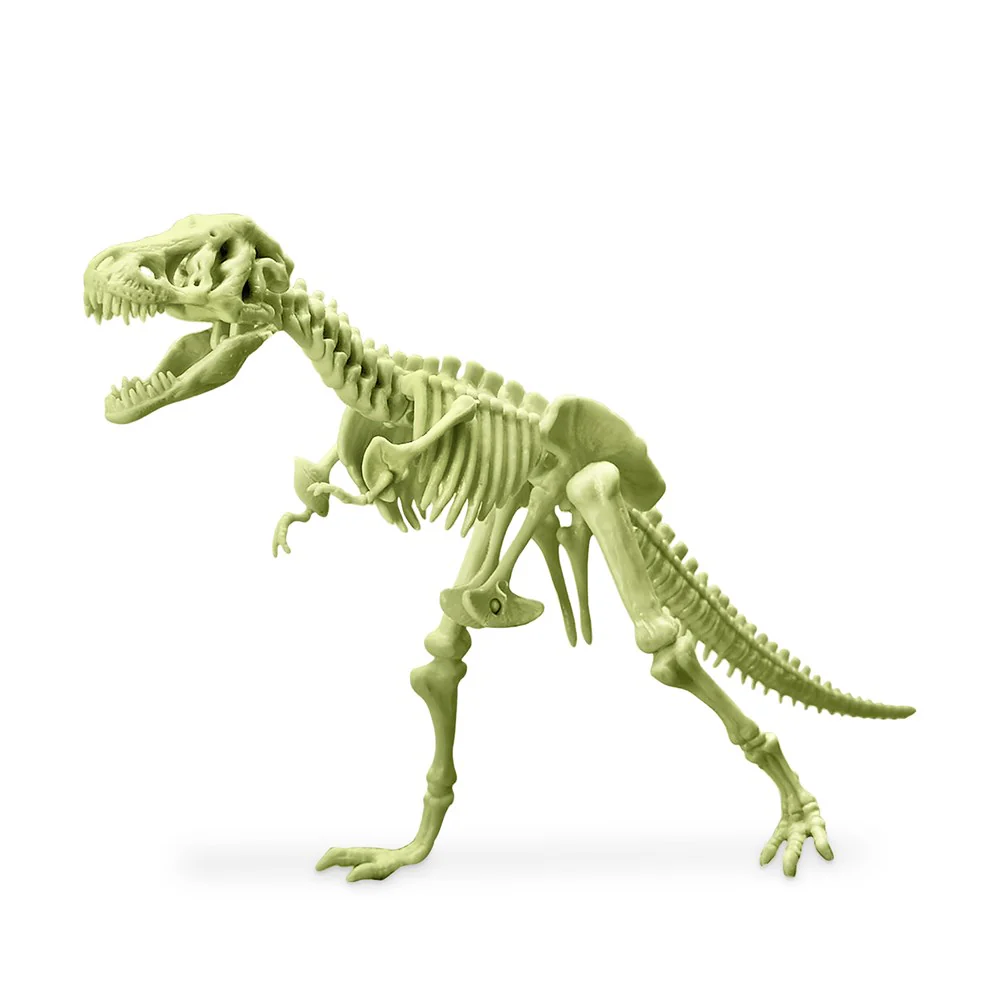 4M Kidzlabs - Glowing T-Rex Skeleton: Fascinating Educational Display