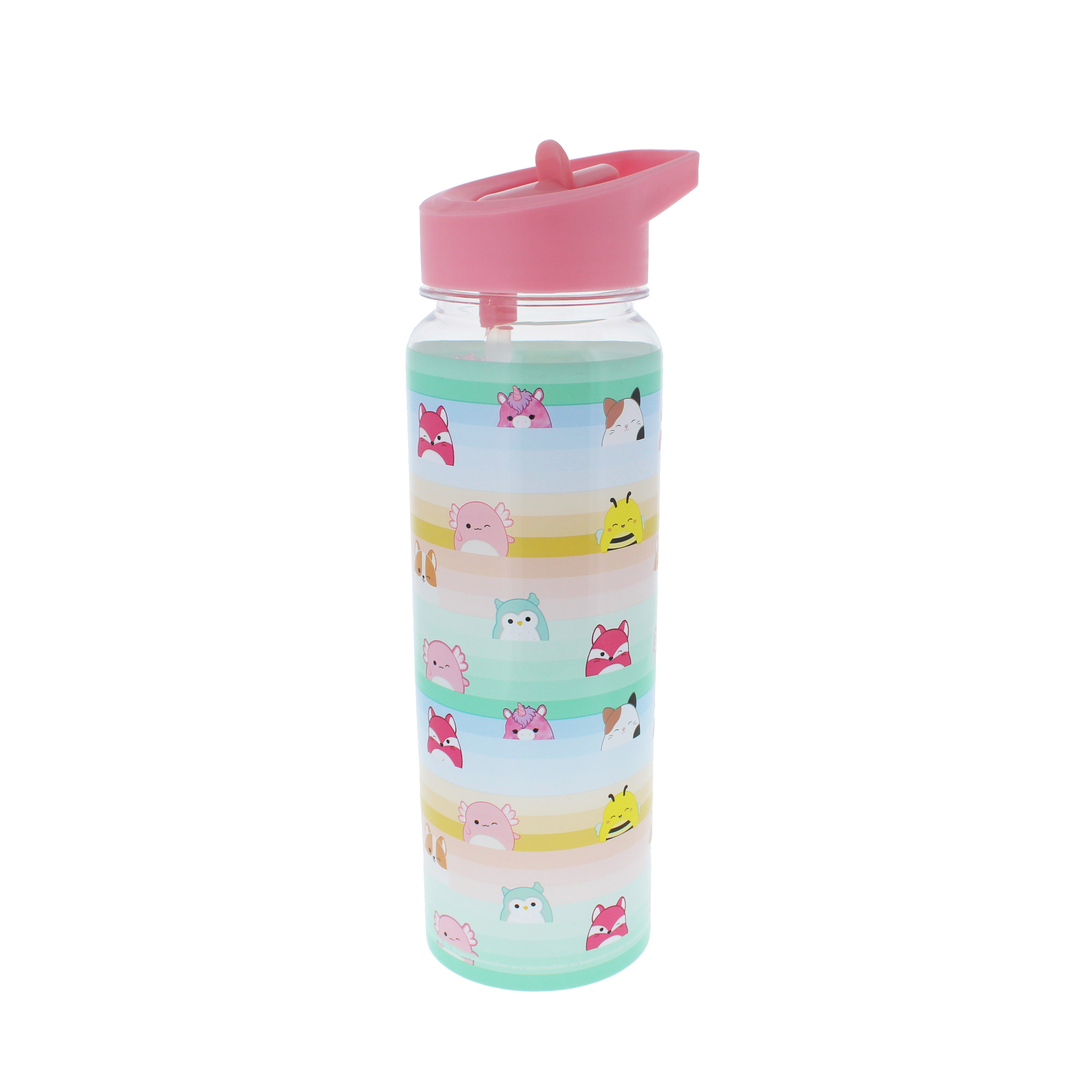 Hot Sale! 600ml Squishmallows Clear Water Bottle for Daily Use
