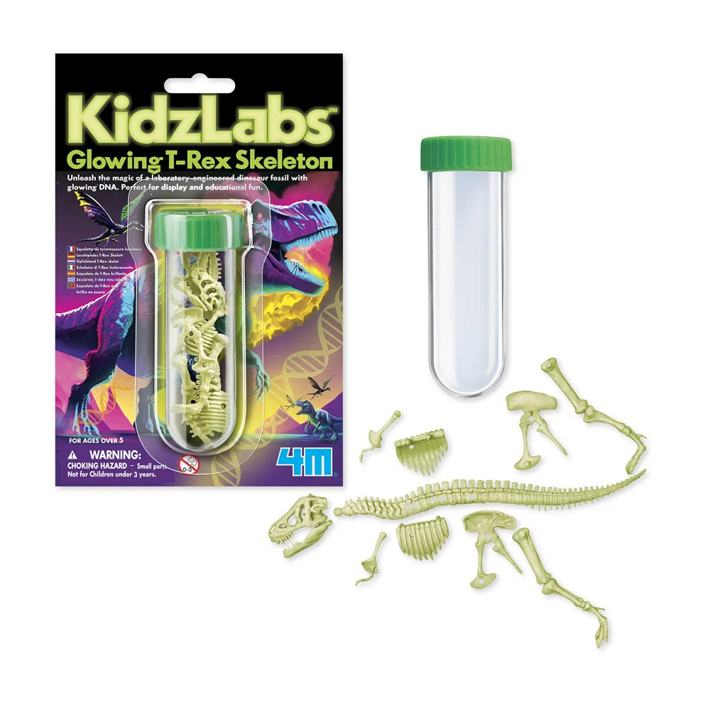 4M Kidzlabs - Glowing T-Rex Skeleton: Fascinating Educational Display