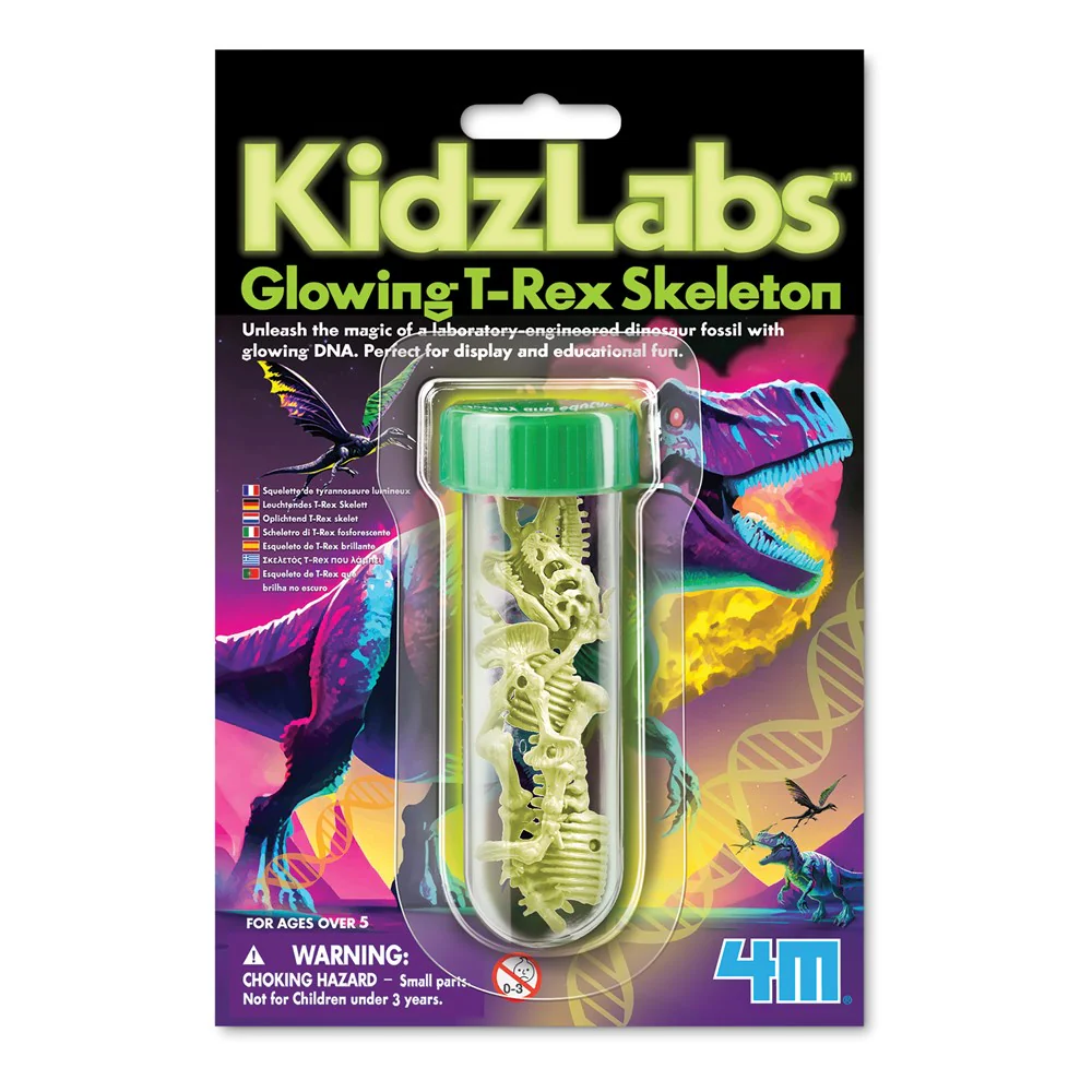 4M Kidzlabs - Glowing T-Rex Skeleton: Fascinating Educational Display