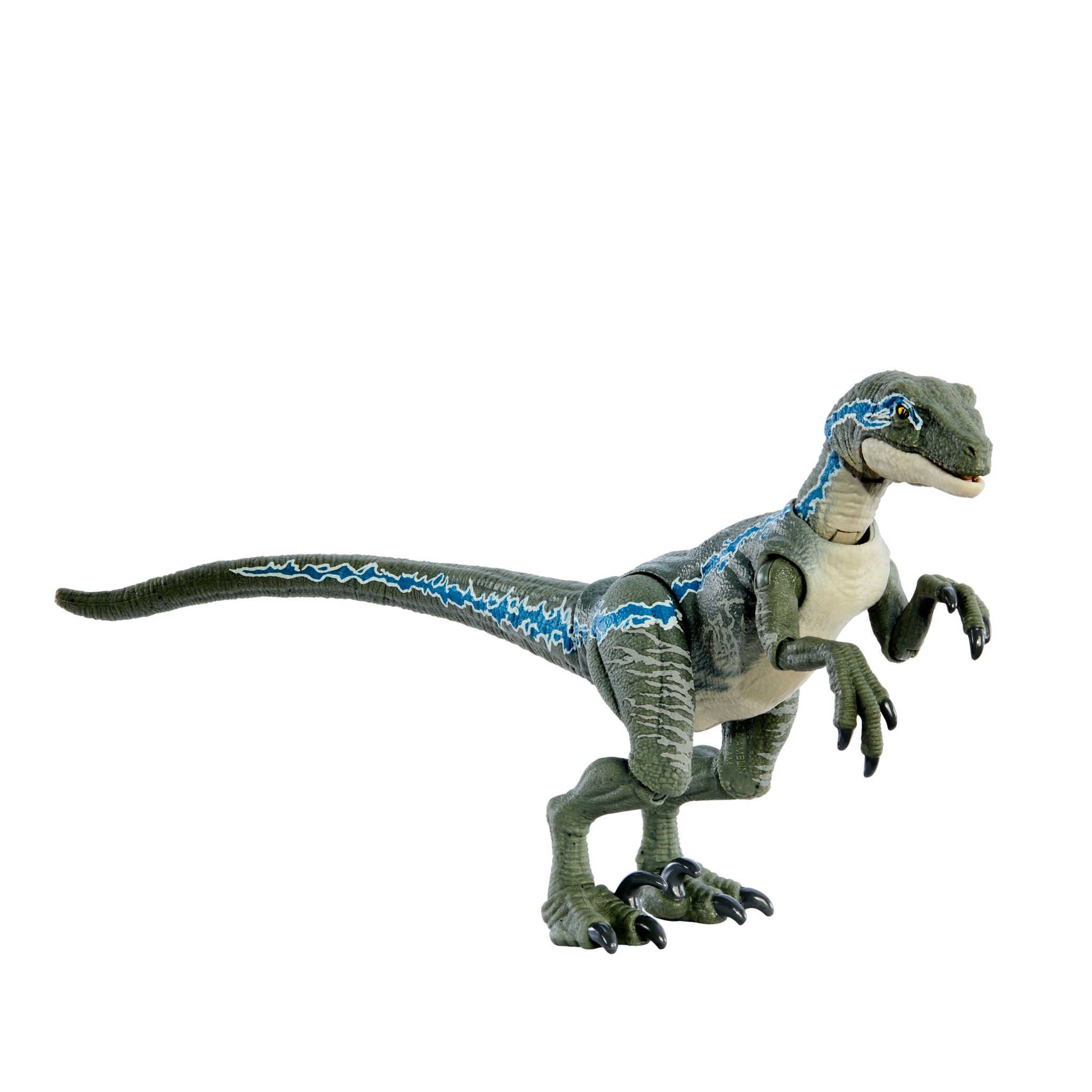 Jurassic World Hammond Collection - Movie - Authentic Velociraptor 'Blue' Figure