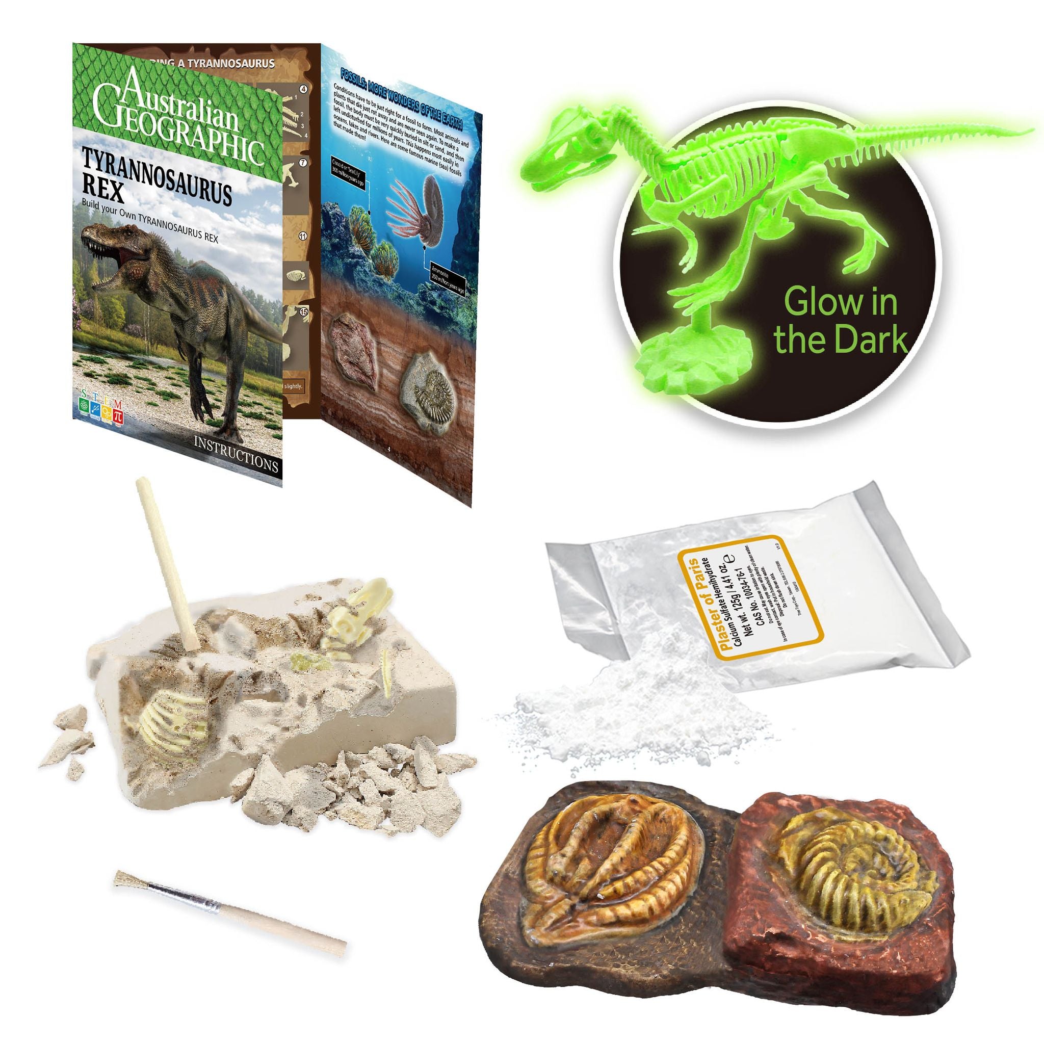 Australian Geographic DIY Glow-in-the-Dark Tyrannosaurus Rex Kit