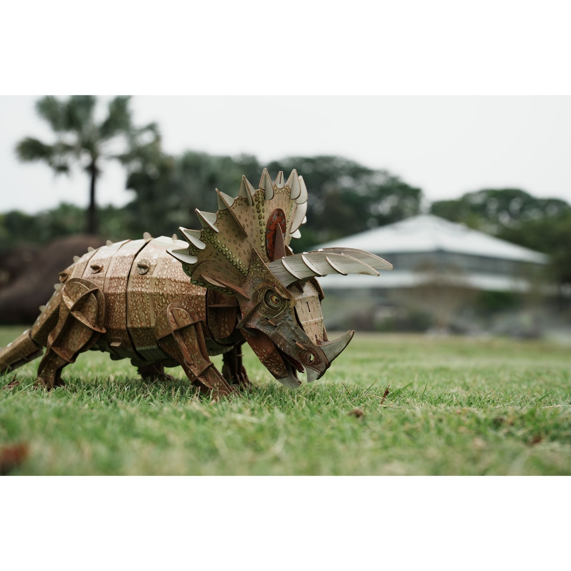 MierEdu 3D Adjustable Triceratops Puzzle - Ideal for Learning