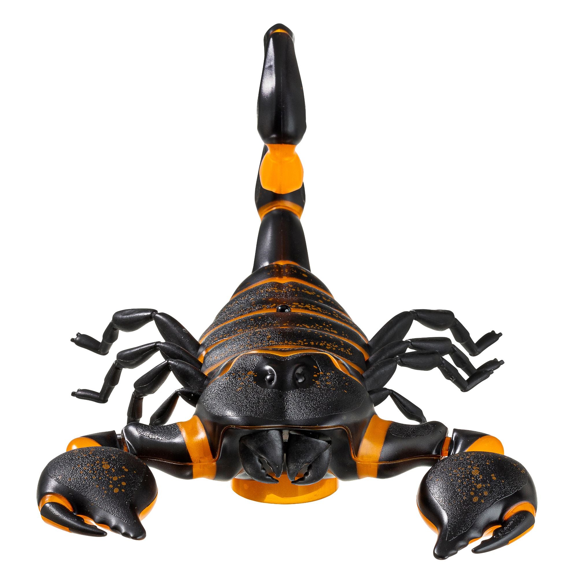 Discovery Kids Lifelike Glowing Remote - Control Scorpion Toy for Kids