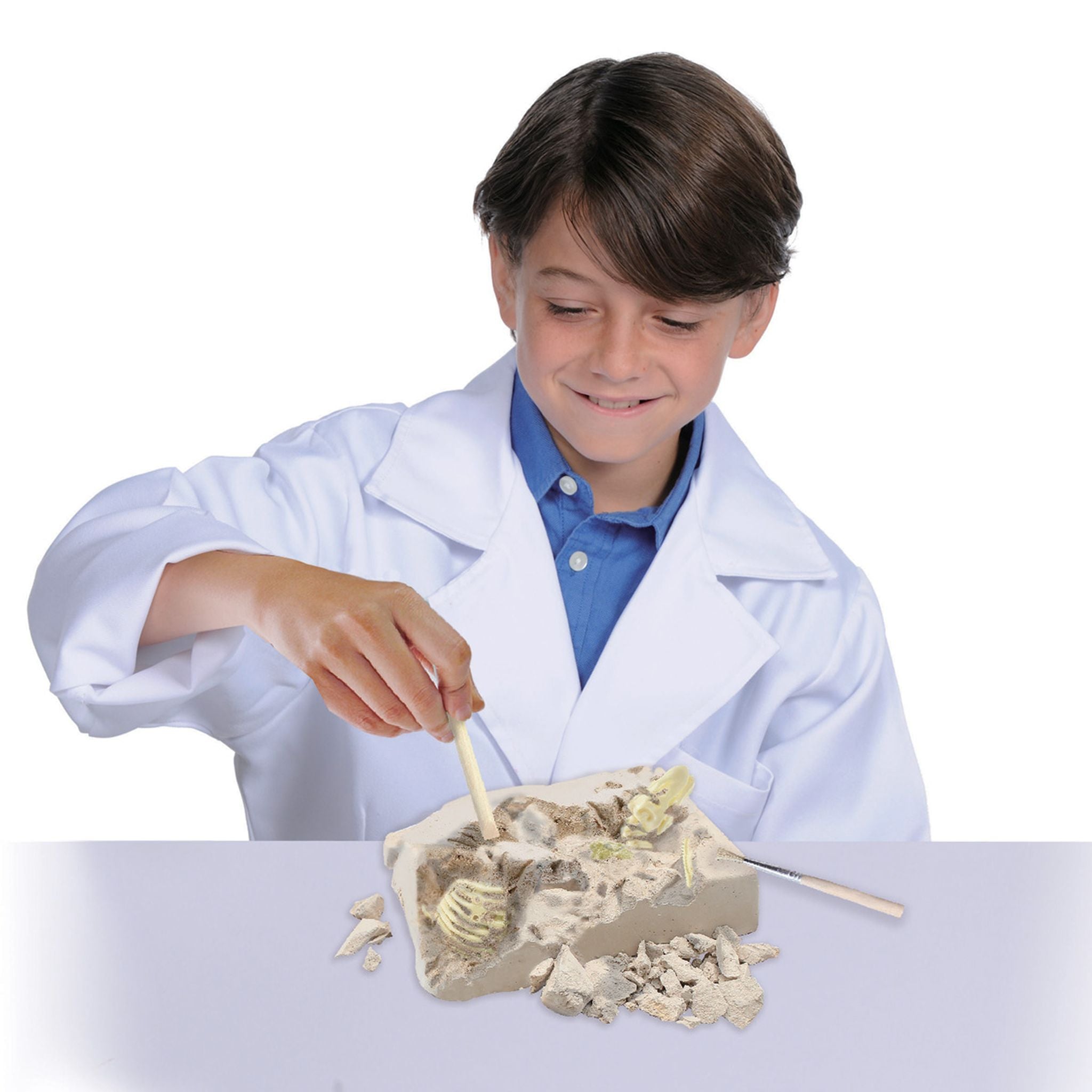 Australian Geographic DIY Glow-in-the-Dark Tyrannosaurus Rex Kit