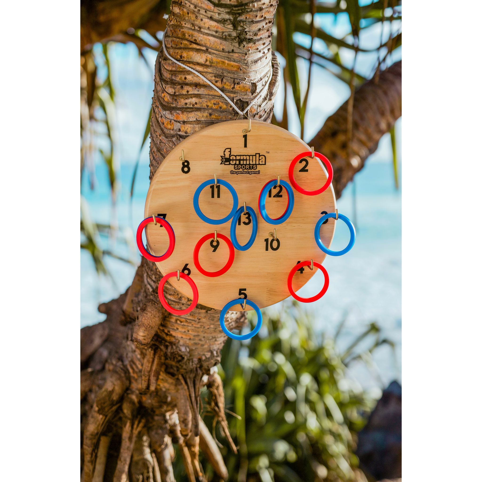 Get Hooked! Portable Formula Sports Hookey Game Set for All Ages - Great for Home or Outdoors