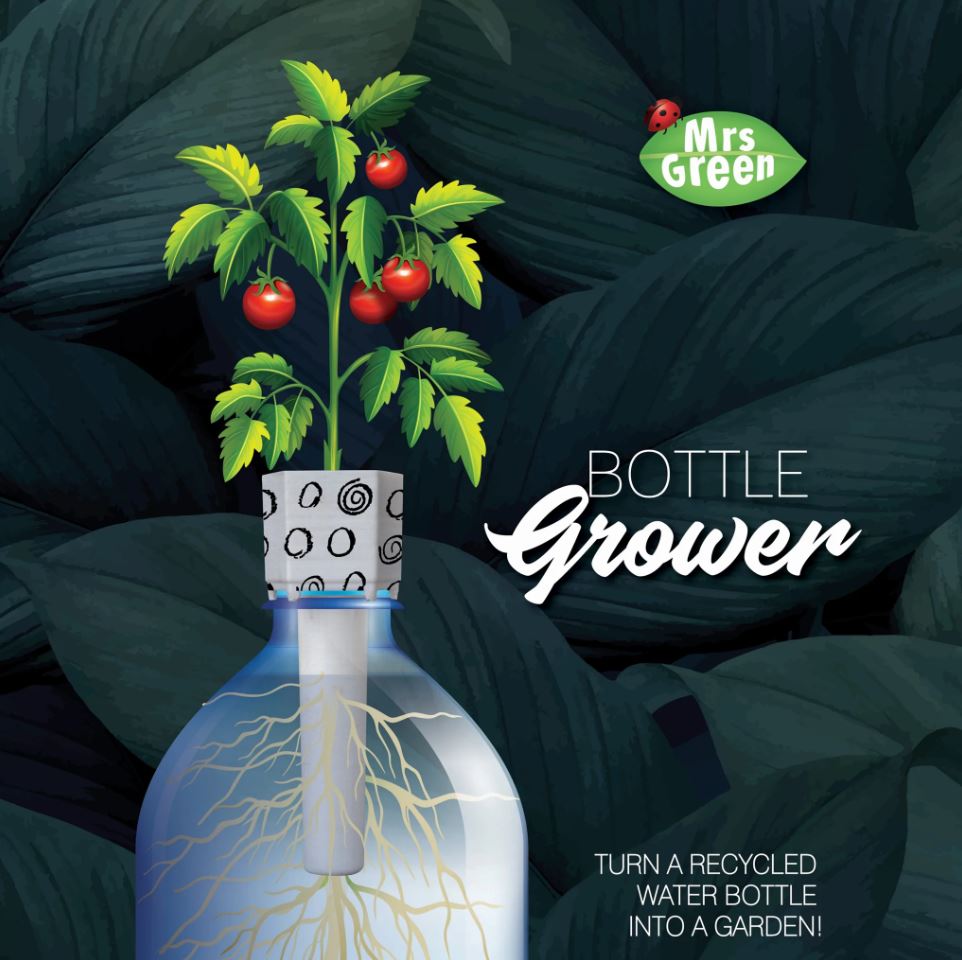 Eco-Friendly Mrs Green Bottle Grower for Indoor Cherry Tomatoes