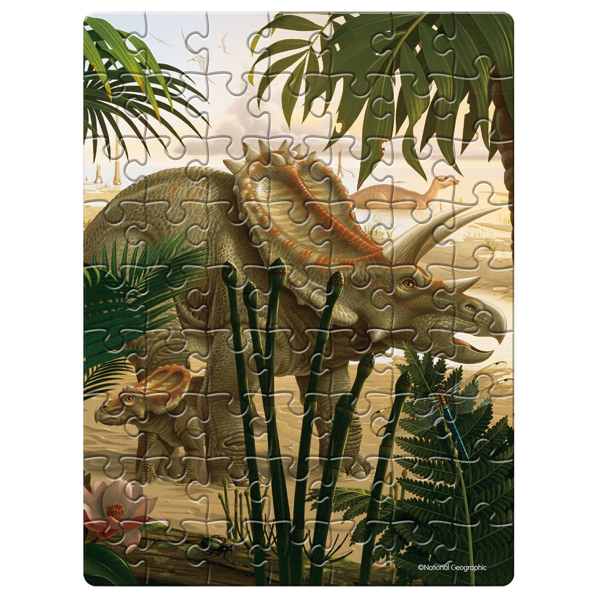 Hot Sale! National Geographic 63-Piece Double-Sided Dinosaur Puzzle in Egg - Triceratops for Kids