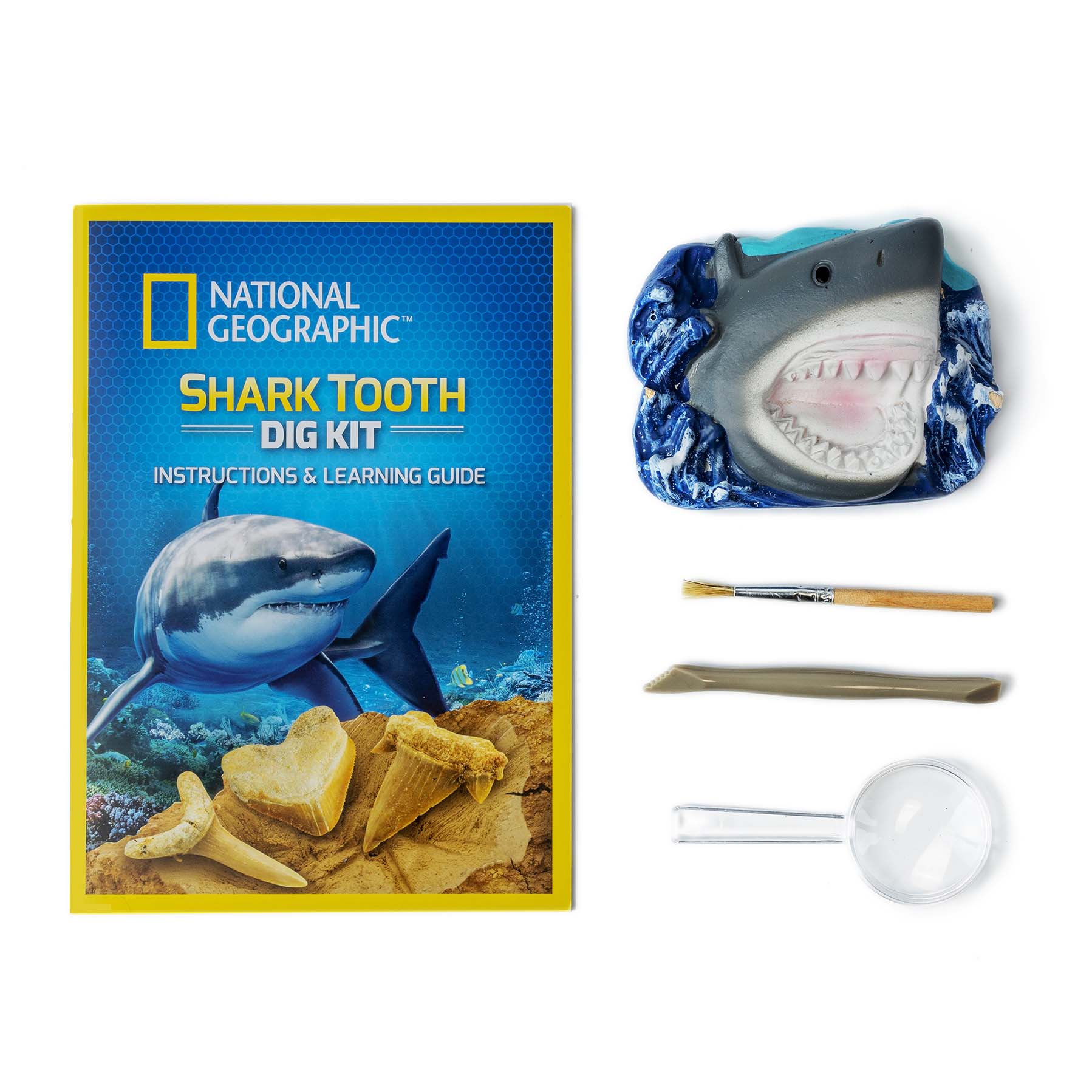 National Geographic's Exclusive Shark Tooth Dig Kit - Ideal for Kids!