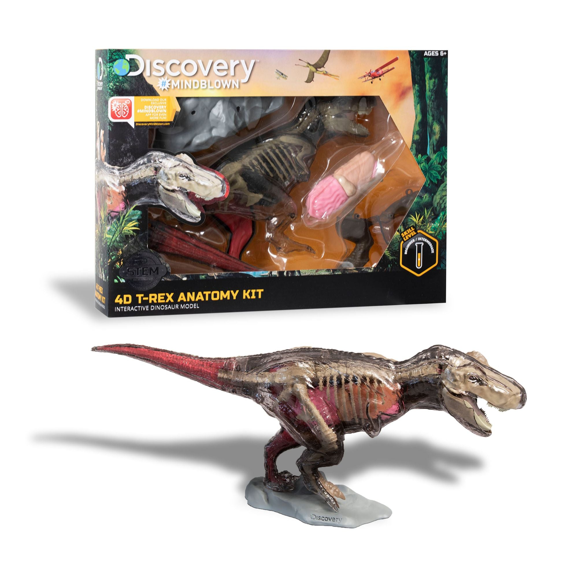 Amazing Discovery 4D T-Rex Anatomy STEM Kit