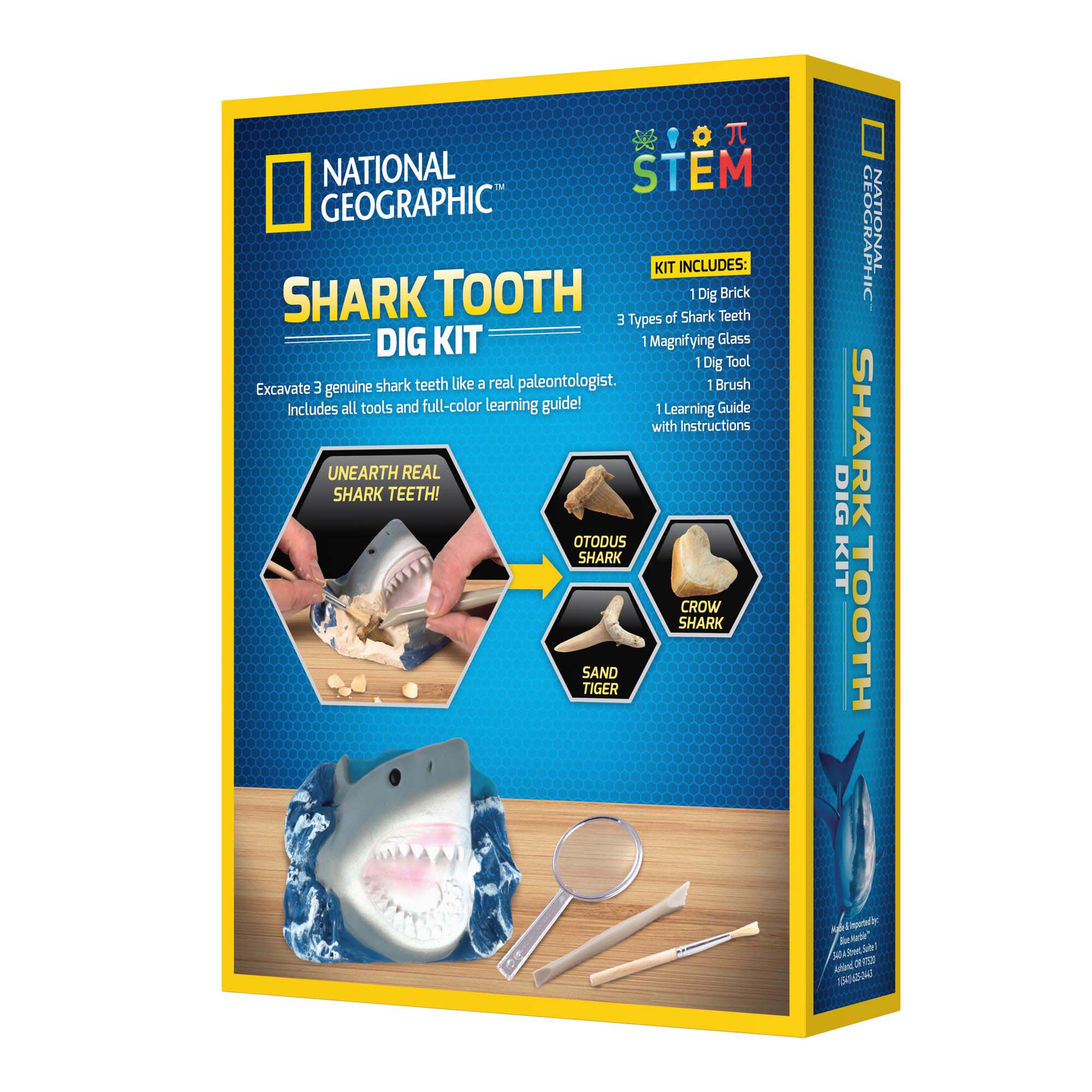 National Geographic's Exclusive Shark Tooth Dig Kit - Ideal for Kids!