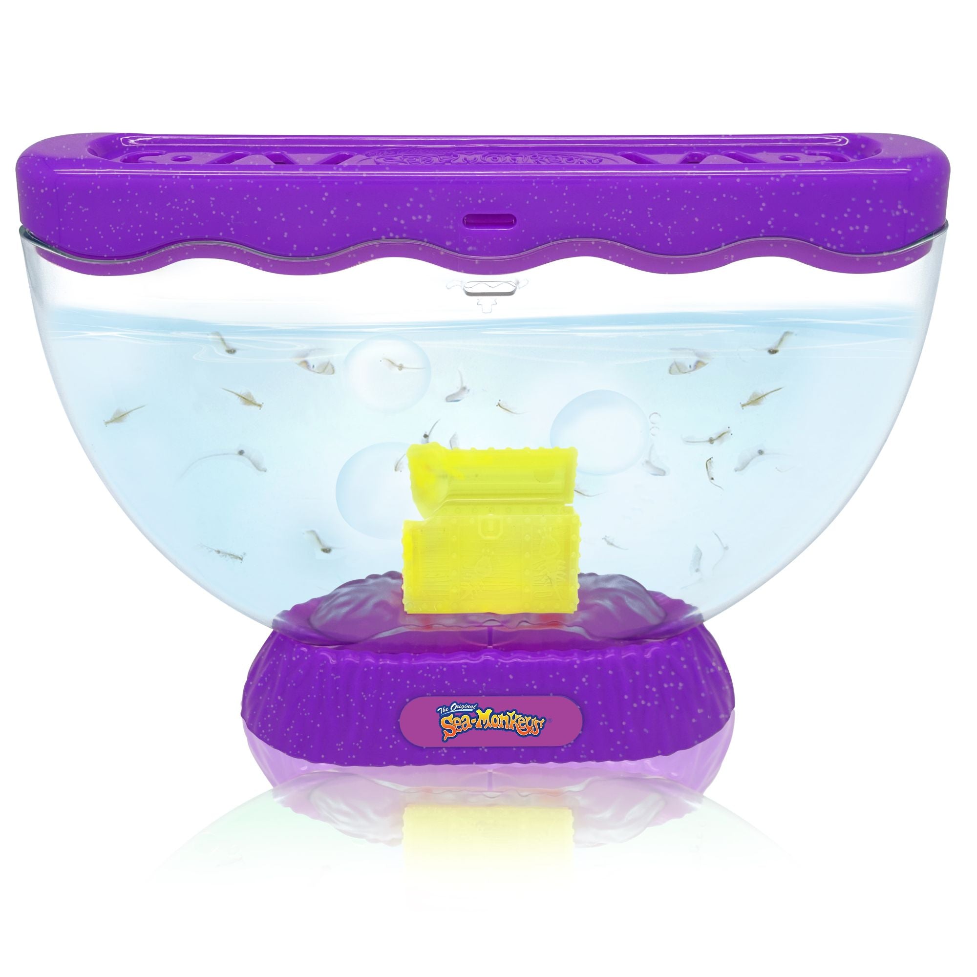 Sea-Monkeys Ocean Treasure Set - Assorted Styles, Ideal First Pet!