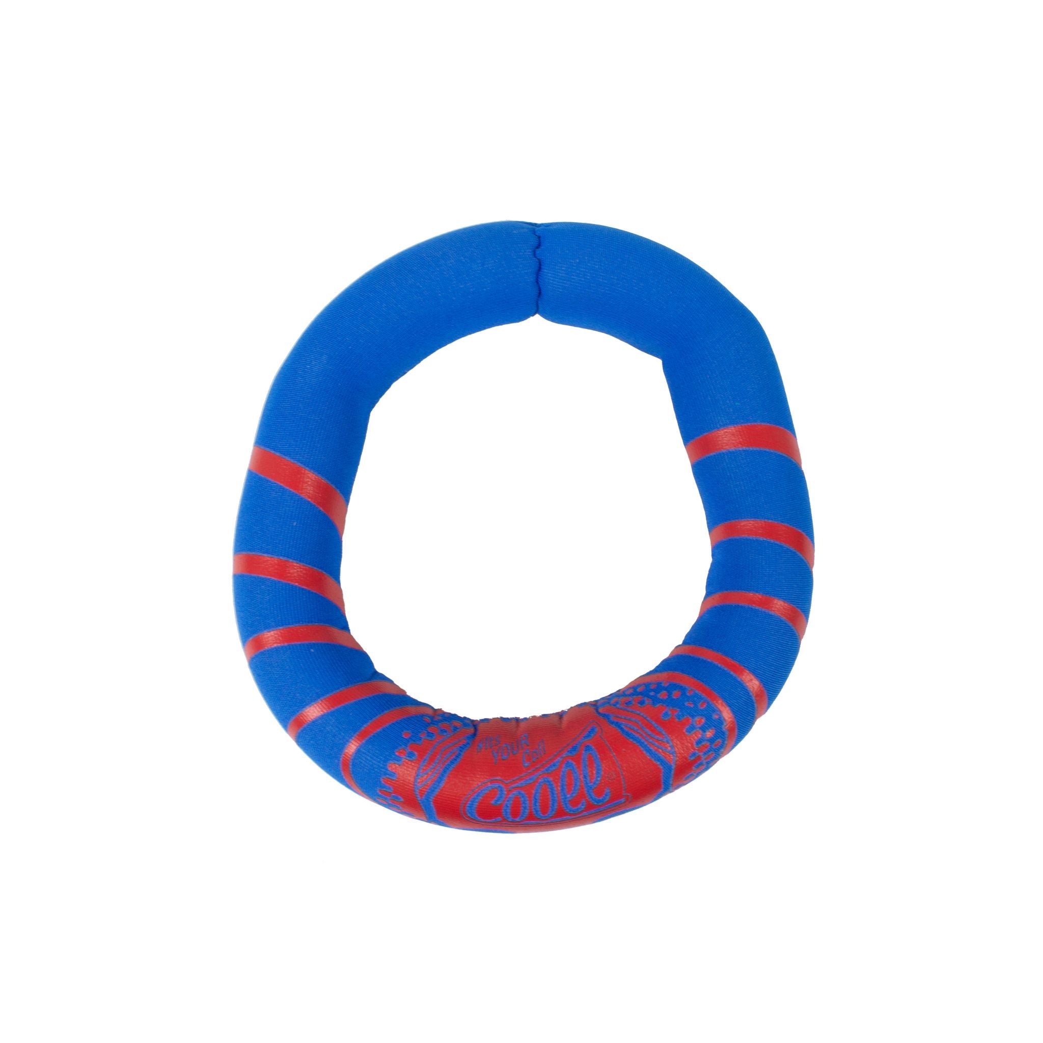 Amazing Cooee Dive Rings - Ideal Pool Toys for Water Play and Learning
