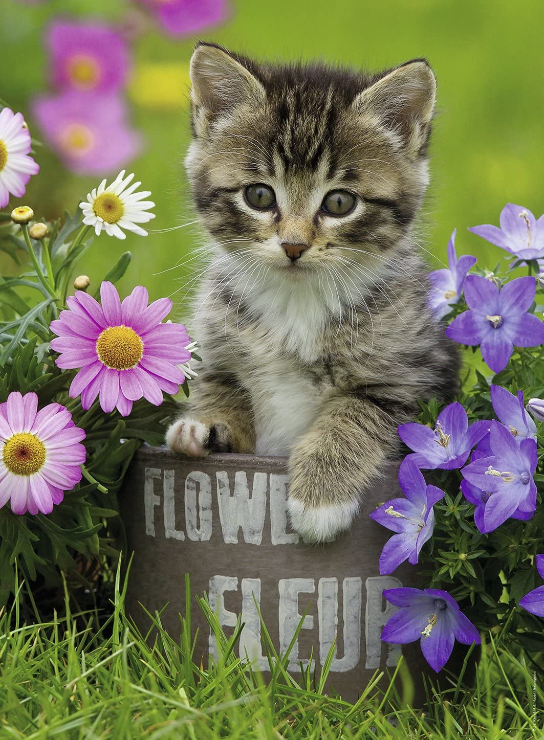 Ravensburger Premium 100-Piece Kitten Among The Flowers Jigsaw Puzzle for Kids Aged 6+