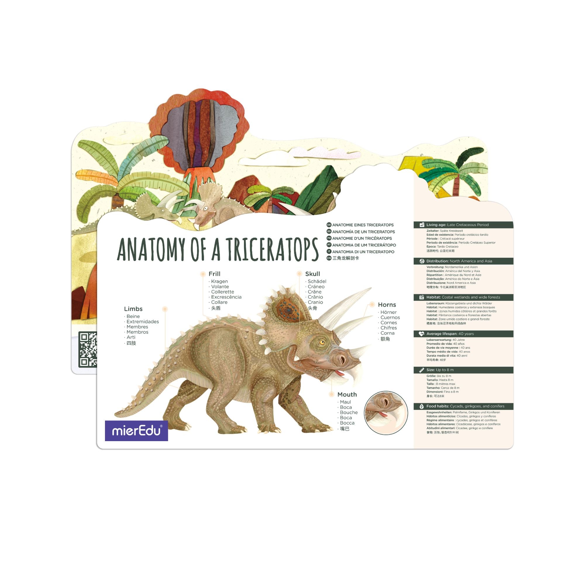 MierEdu 3D Adjustable Triceratops Puzzle - Ideal for Learning