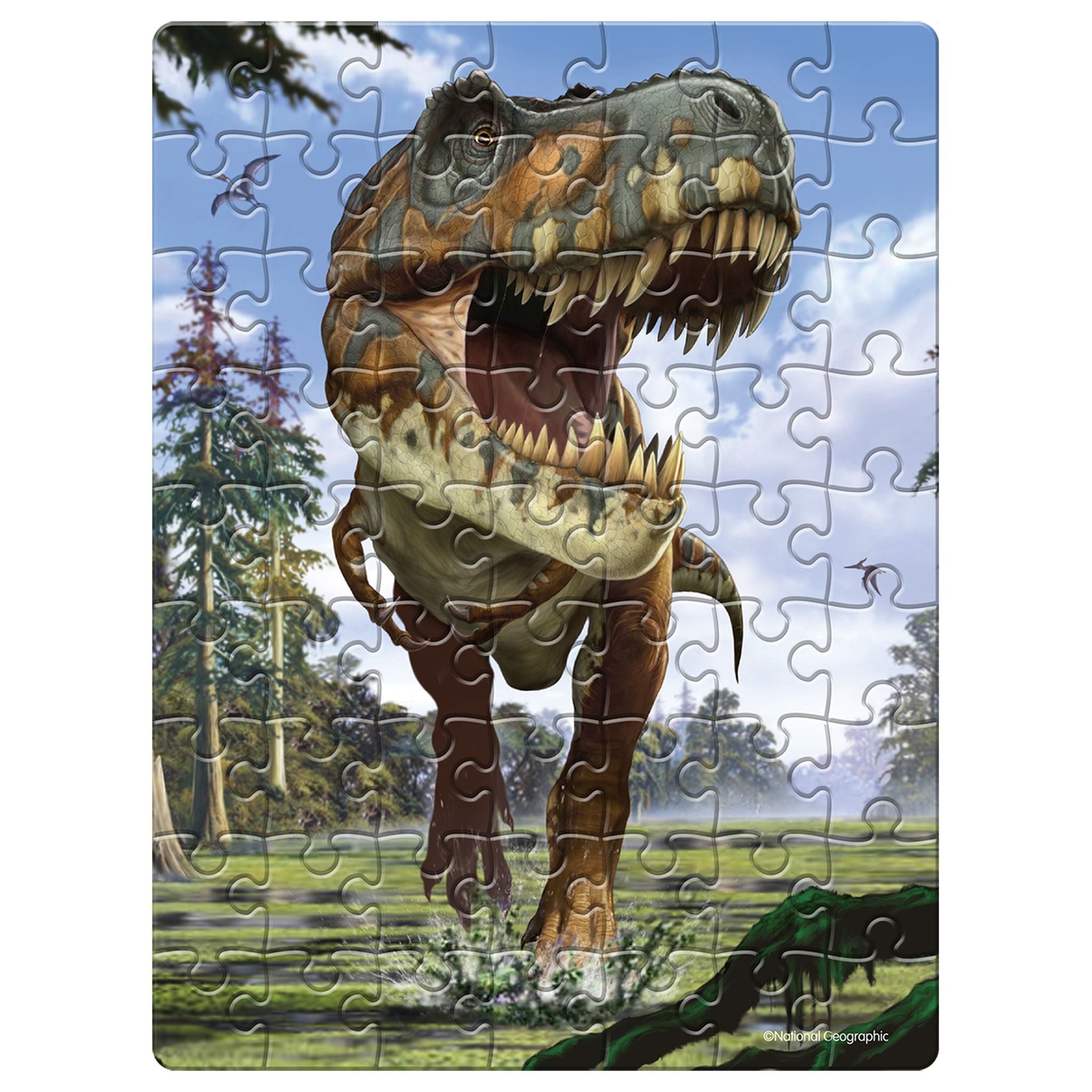 Hot Sale! National Geographic 63-Piece Double-Sided Dinosaur Puzzle of Tyrannosaurus Rex in Egg-Shaped Tin
