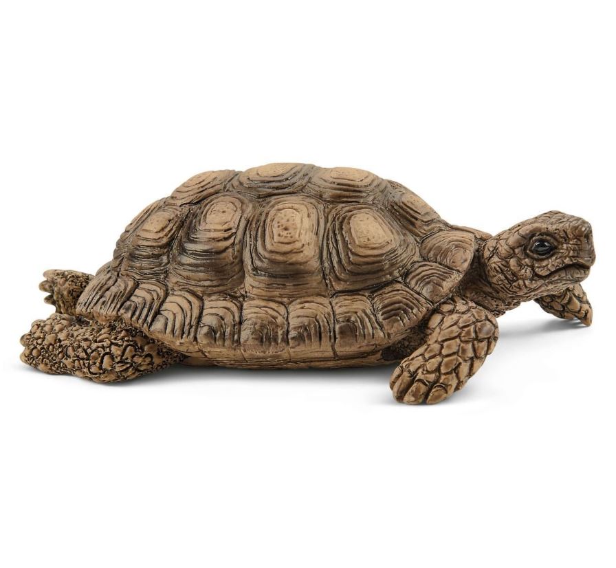 Schleich Tortoise Set: Exclusive Home for Reptiles