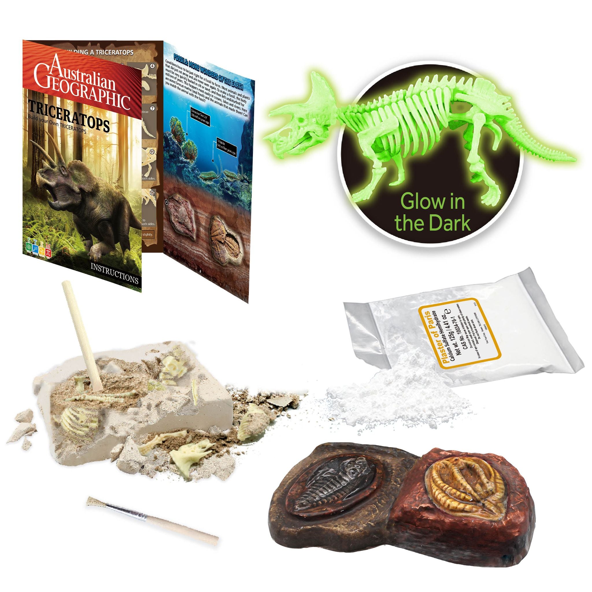 Build Your Own Glow-in-the-Dark Australian Geographic Triceratops