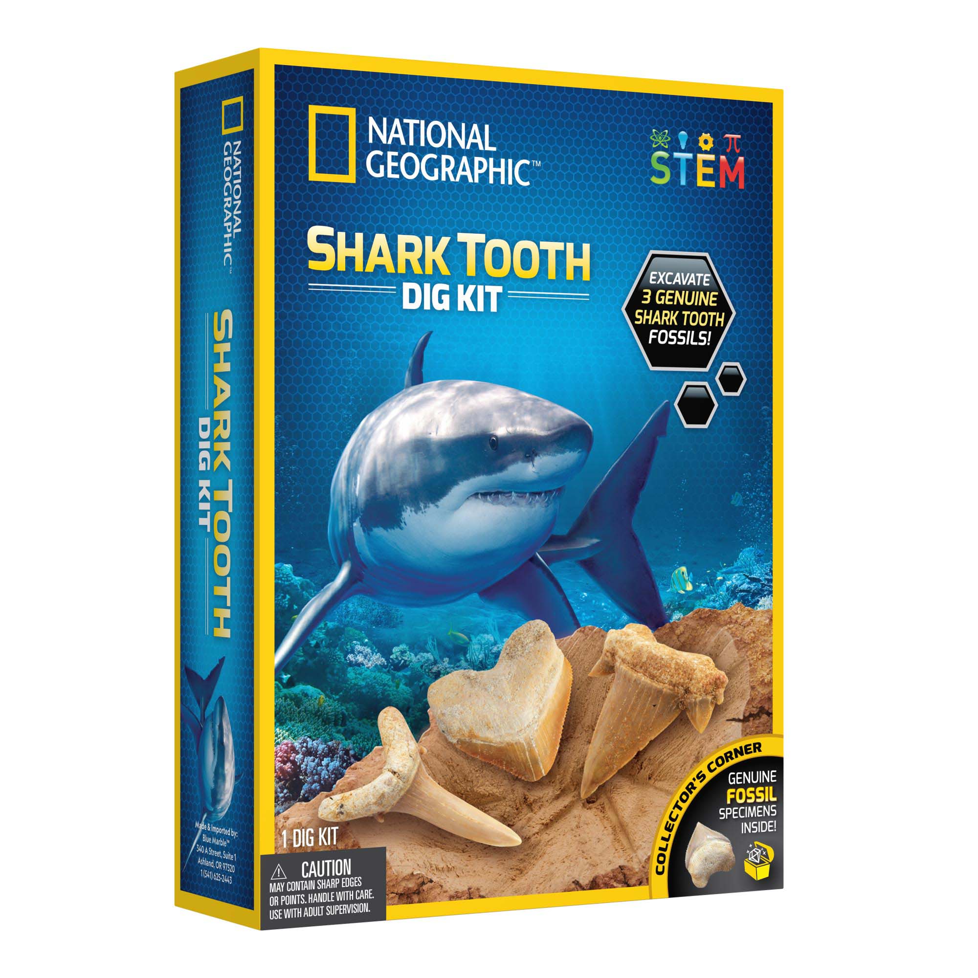 National Geographic's Exclusive Shark Tooth Dig Kit - Ideal for Kids!