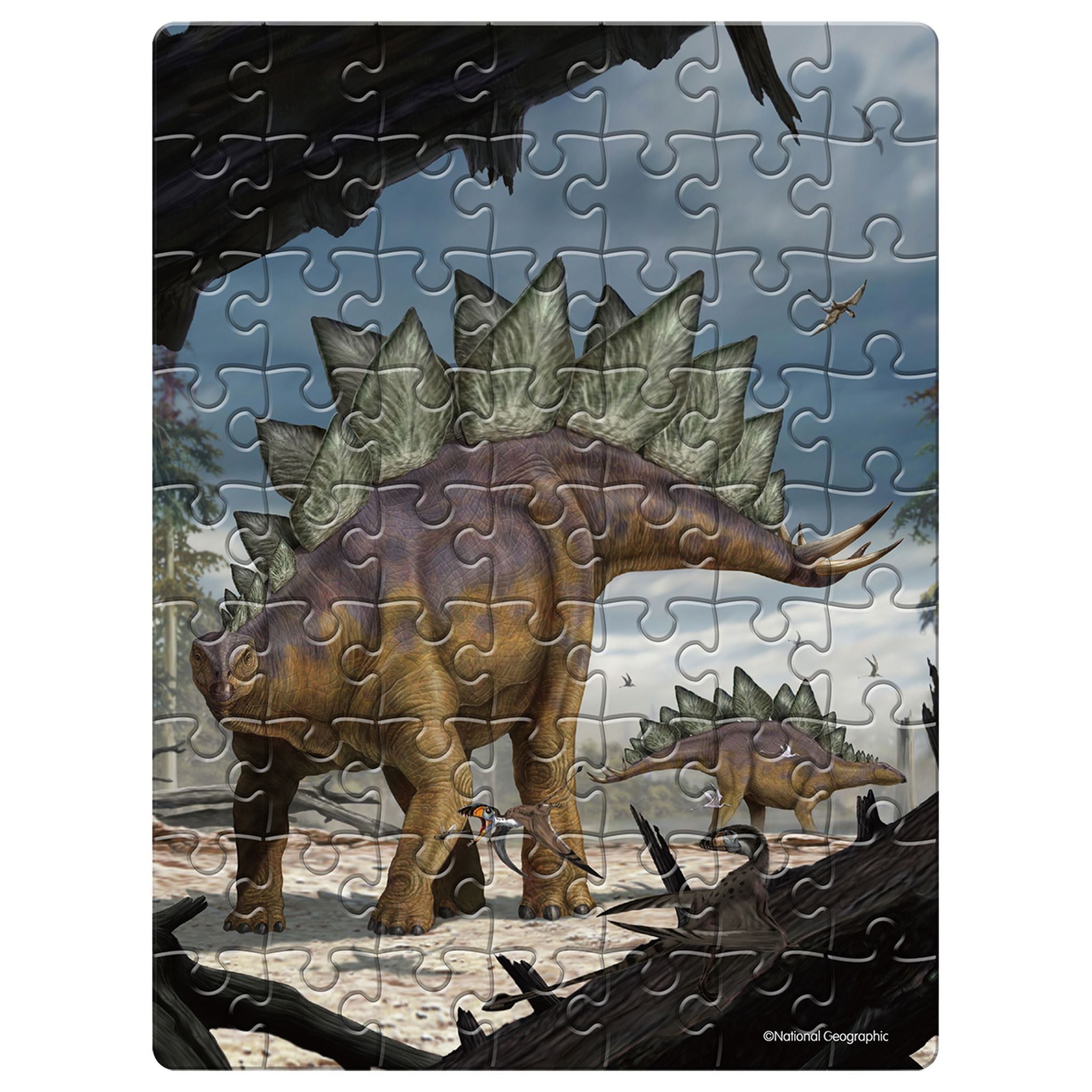 Hot Deal! National Geographic 63-Piece Dinosaur Puzzle in Egg - Stegosaurus for Kids