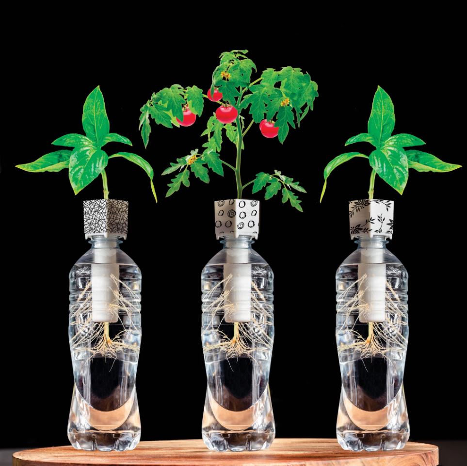 Eco-Friendly Mrs Green Bottle Grower for Indoor Cherry Tomatoes