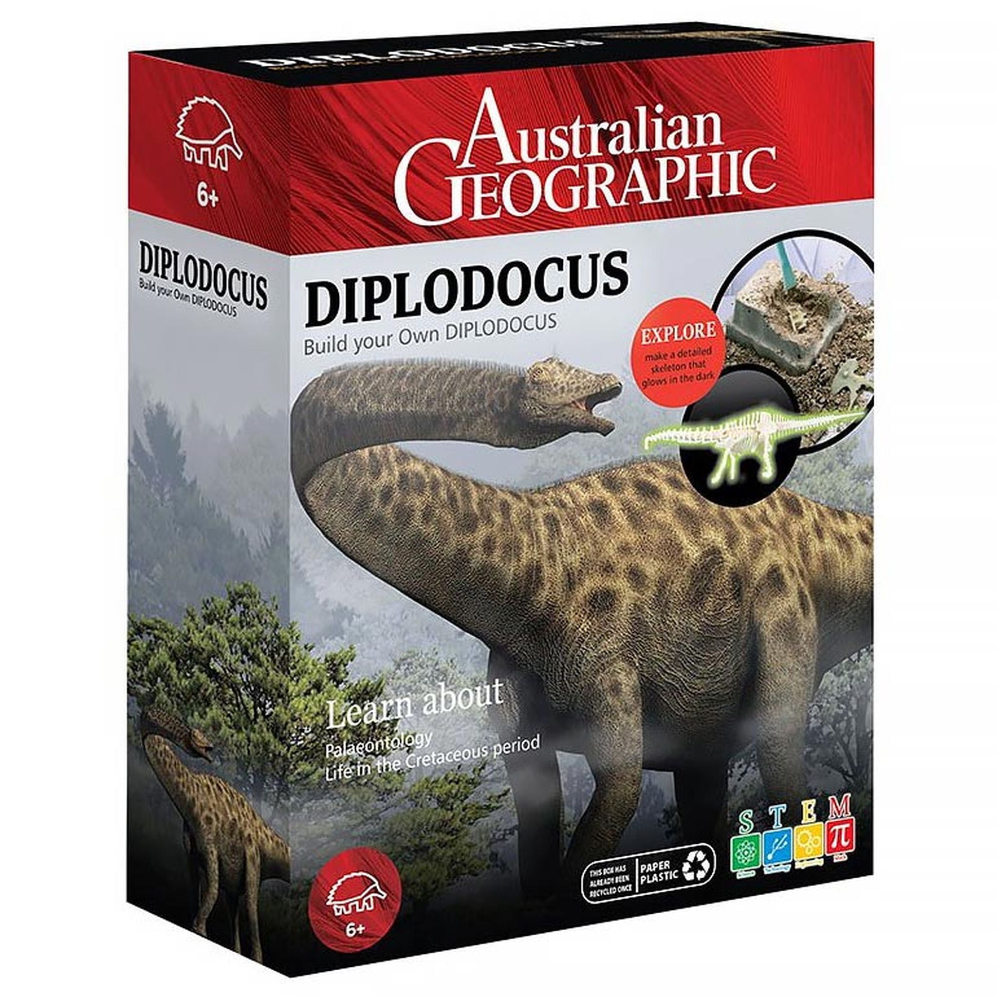 Build Your Own Glow-in-the-Dark Australian Diplodocus Model