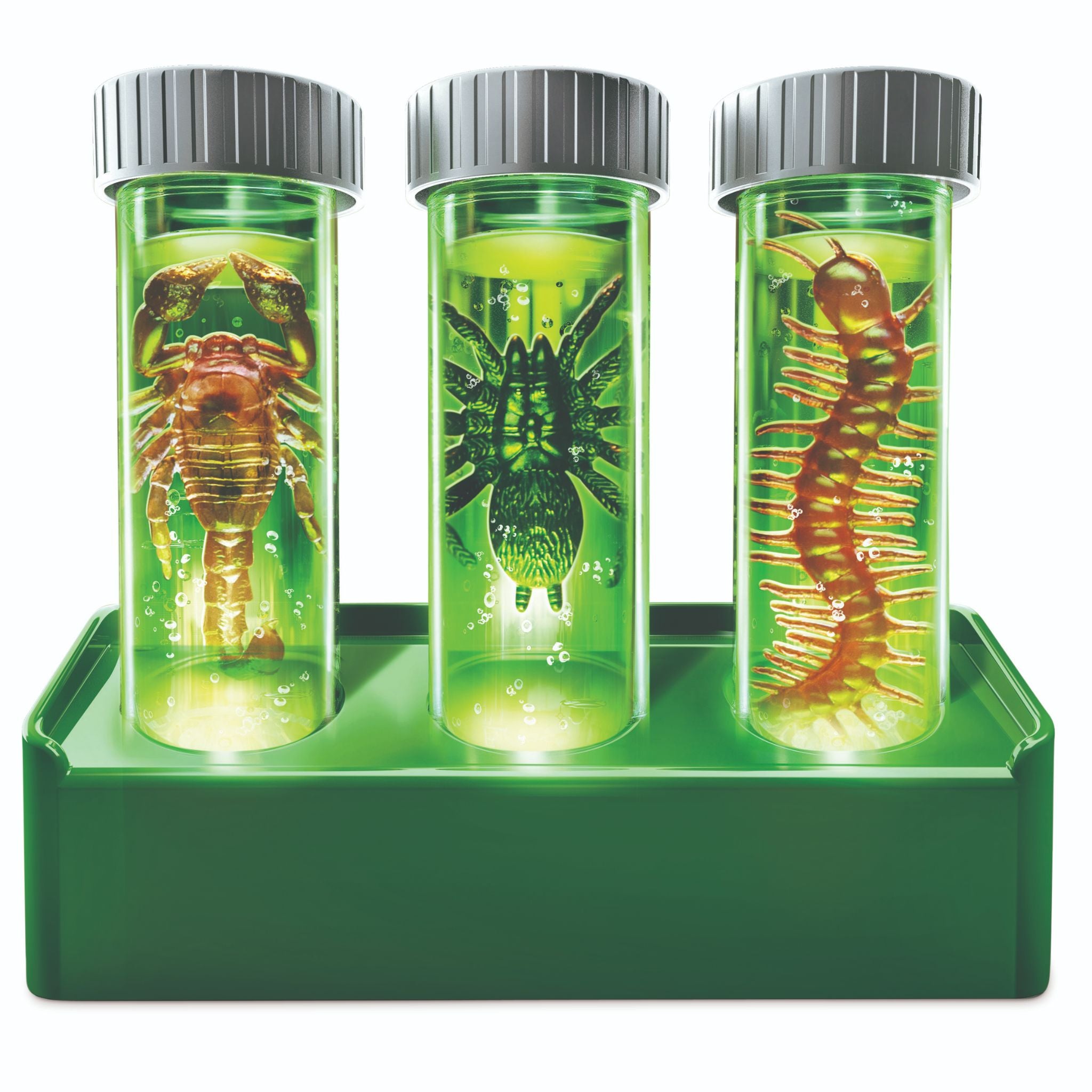 Hot Sale! 4M Kidzlabs Glow Critter Lab for Insect Specimen Observation (Ages 5+)