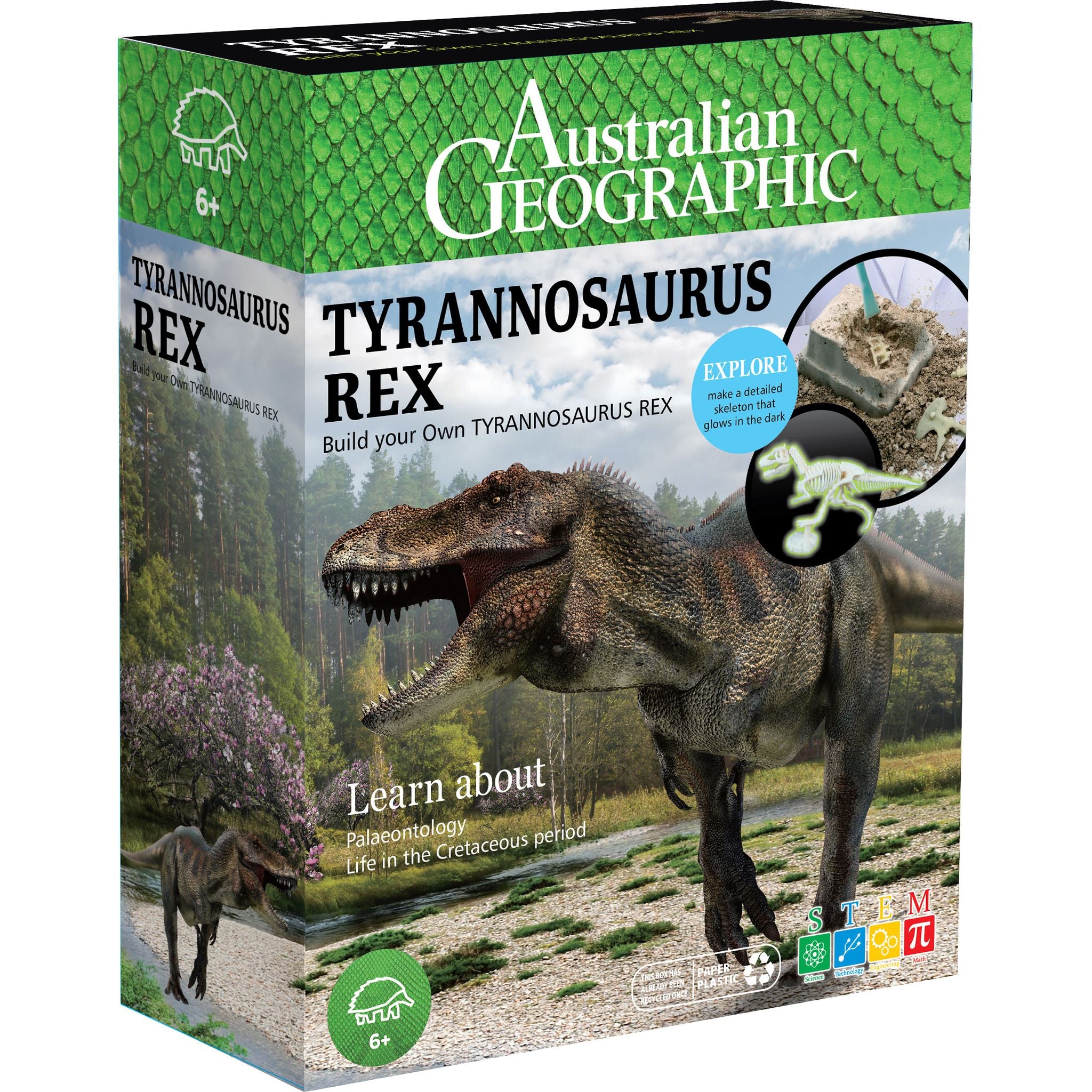 Australian Geographic DIY Glow-in-the-Dark Tyrannosaurus Rex Kit