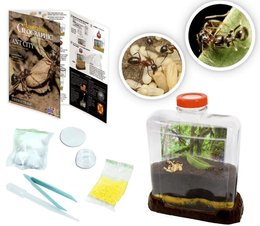 Australian Geographic Ant City - Ideal Ant Pet Kit