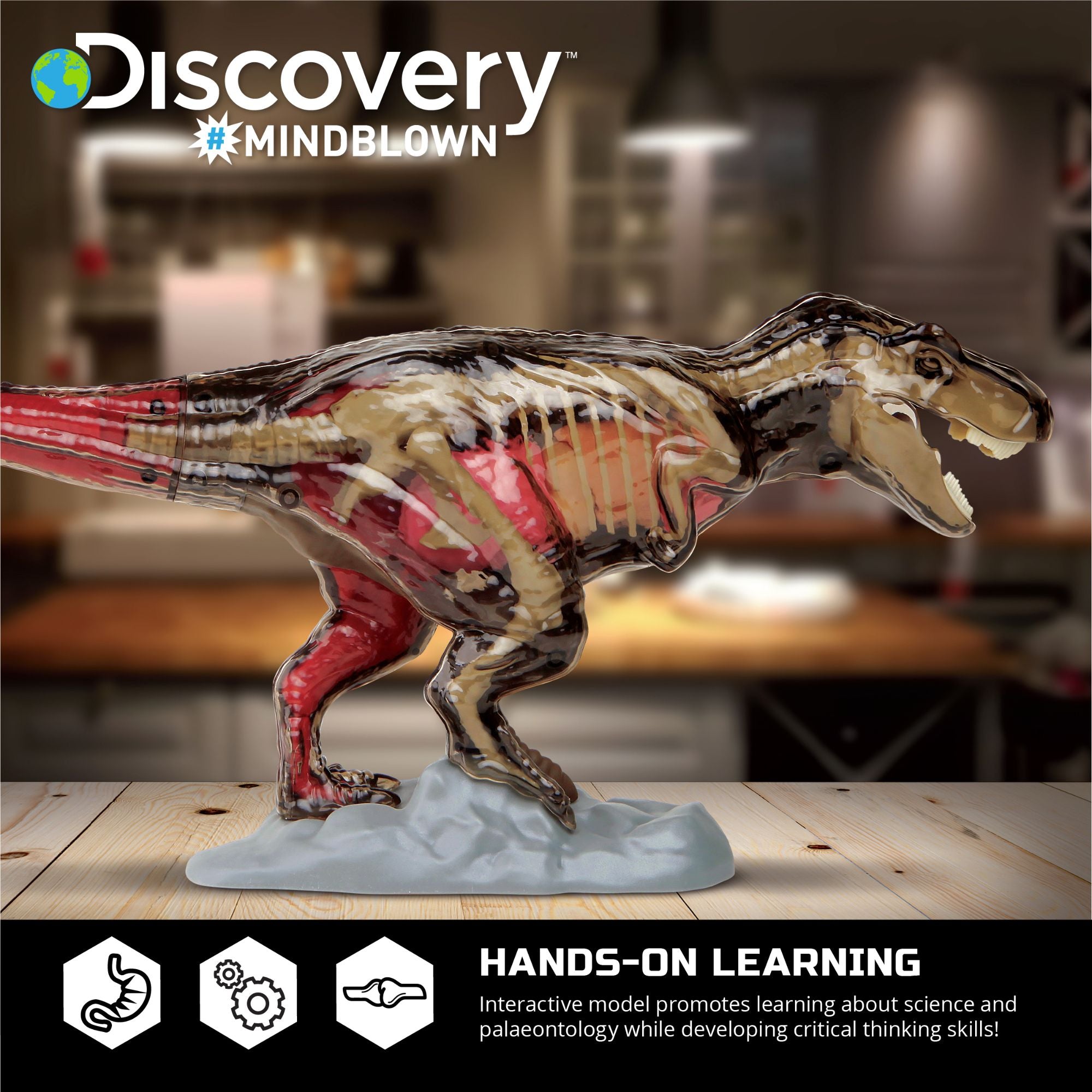 Amazing Discovery 4D T-Rex Anatomy STEM Kit
