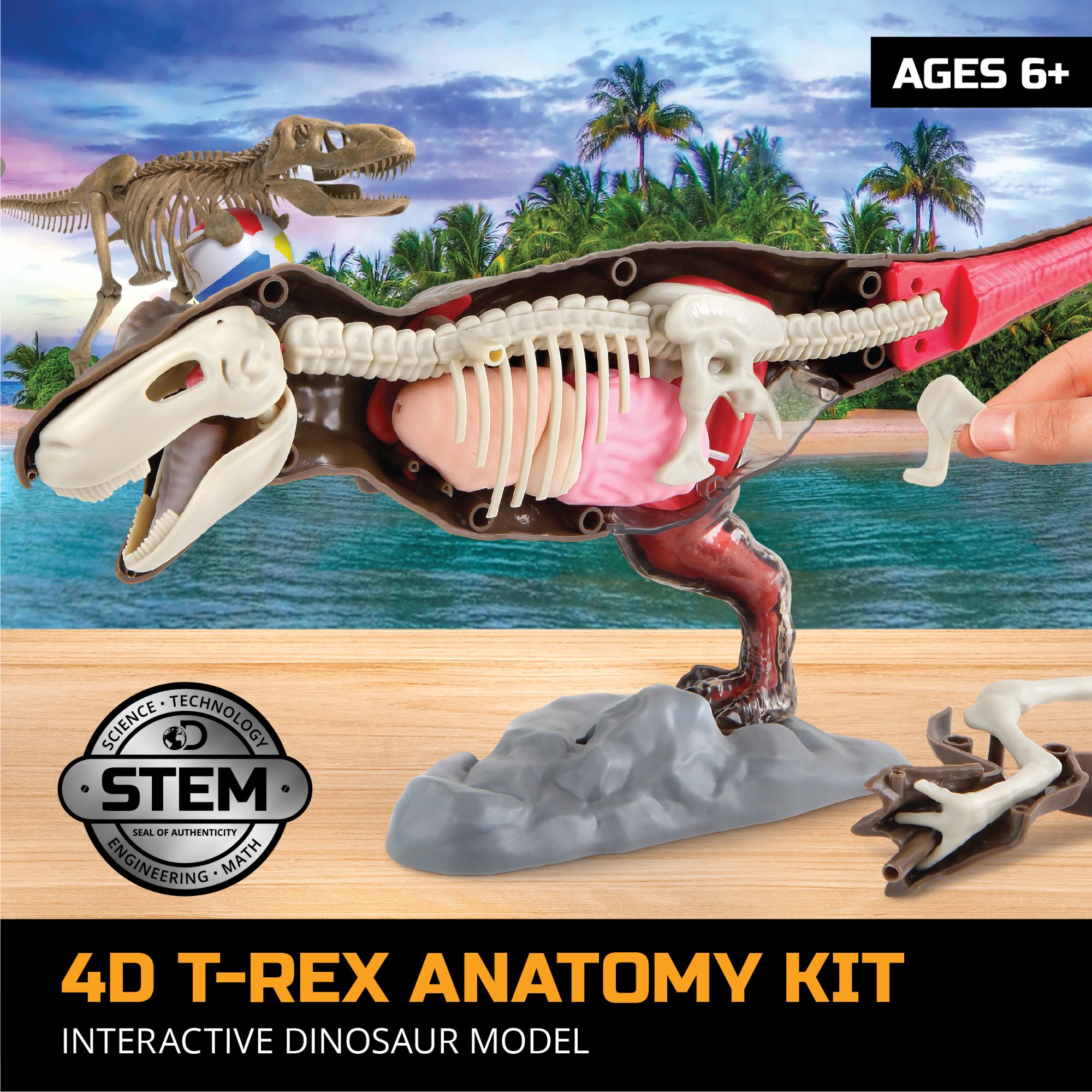 Amazing Discovery 4D T-Rex Anatomy STEM Kit