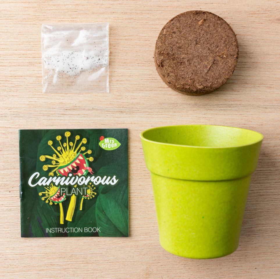 Mrs Green's Premium Carnivorous Venus Fly Trap Plant Kit